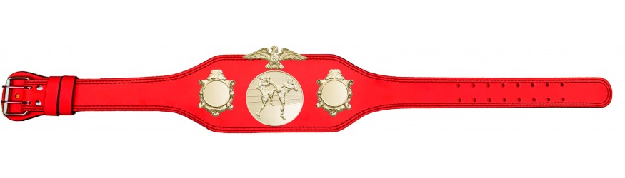 THAI BOXING CHAMPIONSHIP BELT-BUD004/G/TBOG-4 COLOURS